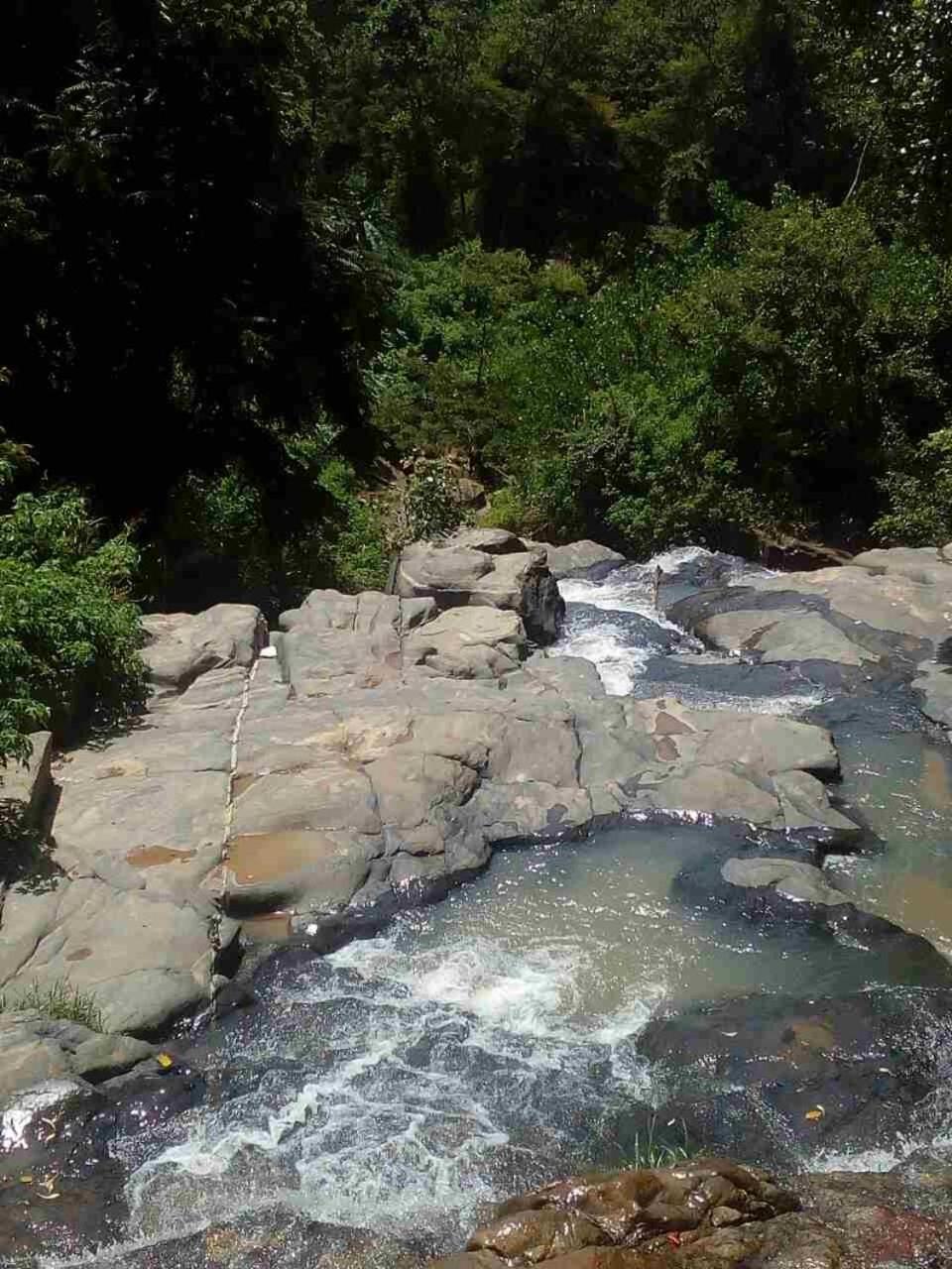 River Forest Nest Ella Esterno foto